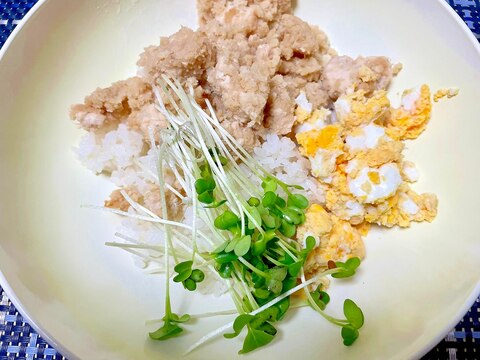 フライパンだけの簡単調理!おからそぼろ丼